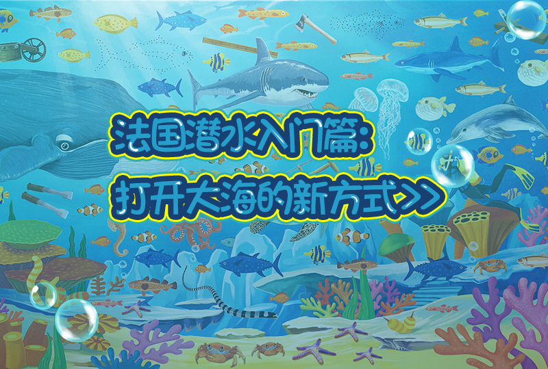 【一分钱攻略】法国潜水入门篇:打开大海的新方式