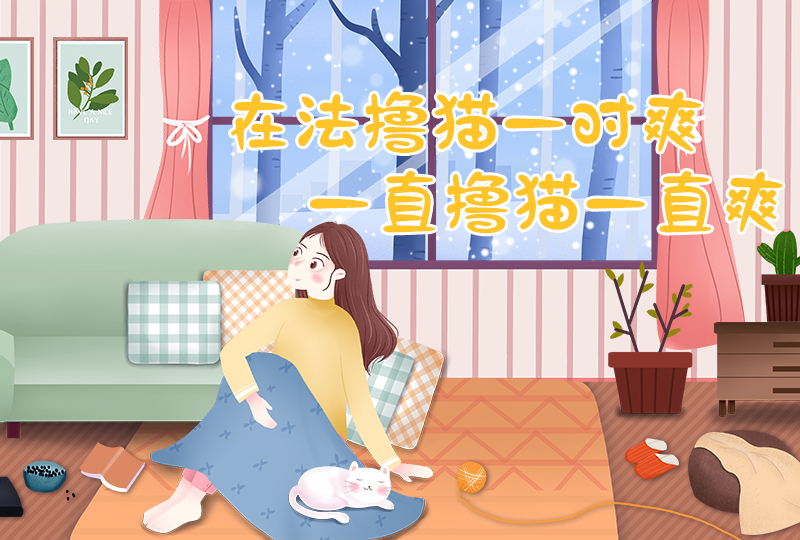 【一分钱攻略】实用养猫手册:在法国,如何成功获得并饲养一只猫猫?